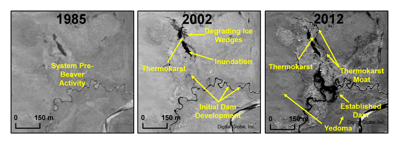 Images courtesy Benjamin Jones/Digital Globe